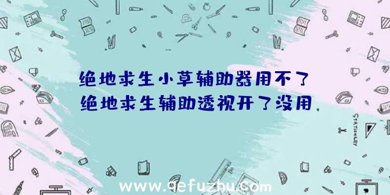 「绝地求生小草辅助器用不了」|绝地求生辅助透视开了没用